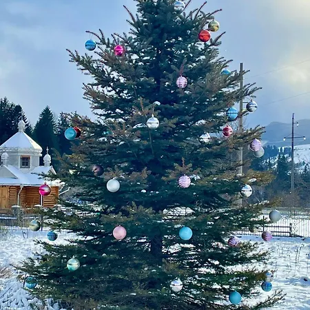 карпат 베르코비나