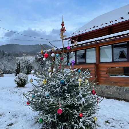 карпат 아파트 *