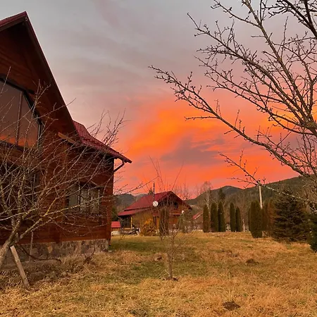 карпат 베르코비나