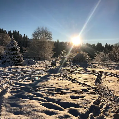 Appartement карпат