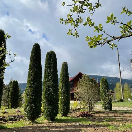 карпат 아파트