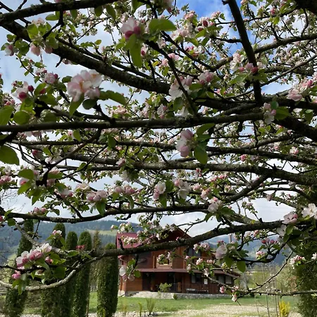 아파트 карпат *