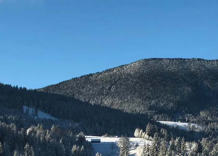 карпат *