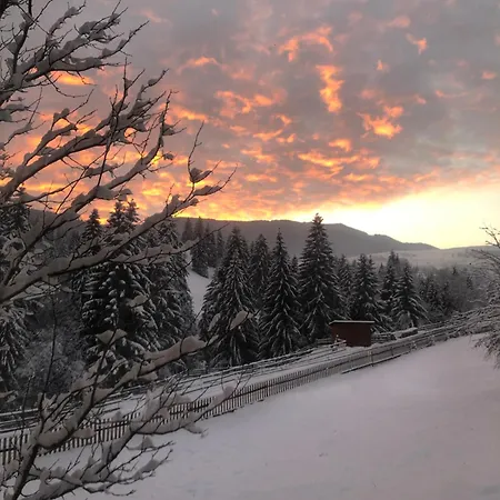 карпат Διαμέρισμα Verkhovyna