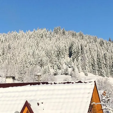 карпат Διαμέρισμα Verkhovyna