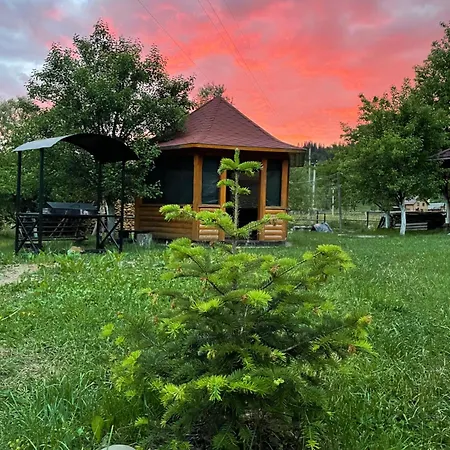 карпат Διαμέρισμα Verkhovyna